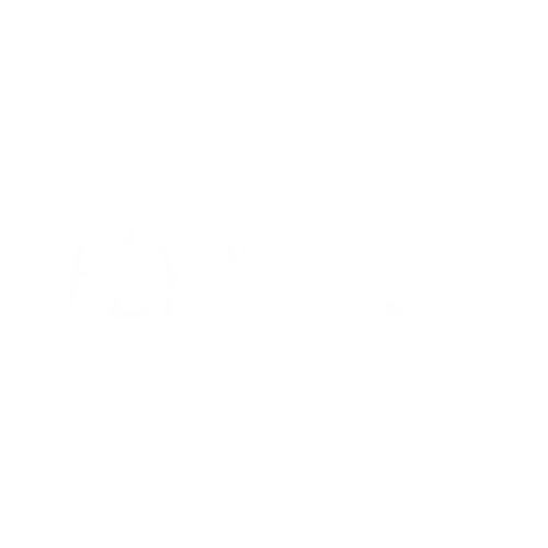 logo flystep bianco by seere